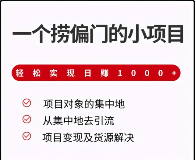 柚子团队：一个捞偏门的小项目，轻松实现日赚1000+-羽哥创业课堂