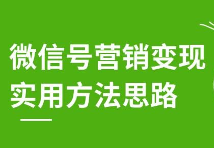 朋友圈营销集训课：微信号营销变现实用方法思路（刷屏裂变必备）-羽哥创业课堂