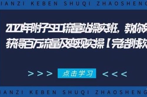 2021年附子SEO流量站操实班：教你免费获得百万流量及变现实操（完结附软件）-羽哥创业课堂