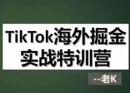 TK研习社·TikTok海外掘金实操特训营-羽哥创业课堂