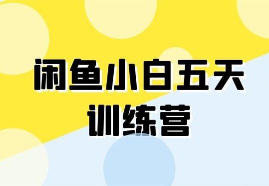 卓让闲鱼小白五天训练营：每天一小时，轻松赚钱快人一步-羽哥创业课堂