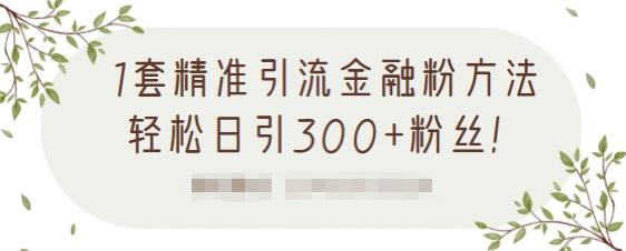 1套精准引流金融粉方法，轻松日引300+粉丝-羽哥创业课堂