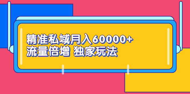 精准私域月入60000+ 流量倍增 独家玩法（9节视频课）-羽哥创业课堂