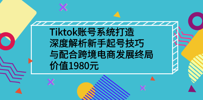 Tiktok账号系统打造，深度解析新手起号技巧与跨境电商发展终局（价值1980元）-羽哥创业课堂