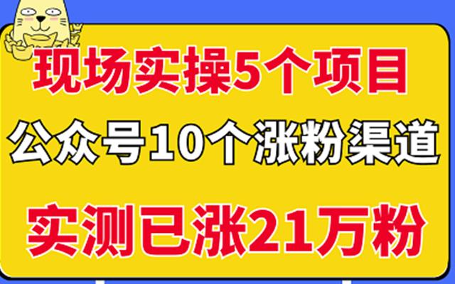 实操5个公众号项目，10个涨粉渠道，实测已涨21万粉-羽哥创业课堂