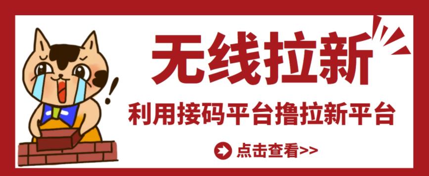 利用接码平台传拉新平台差价，轻松日传500+-羽哥创业课堂