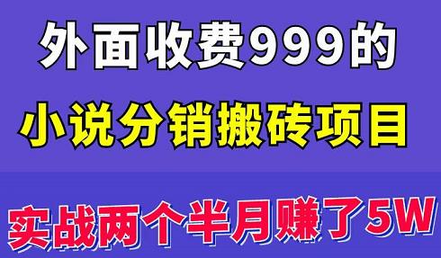 小说分销搬砖项目：实战两个半月赚了5W块，操作简单-羽哥创业课堂