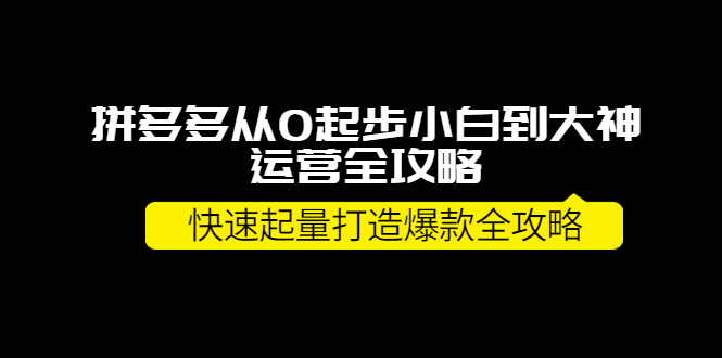 拼多多从0起步小白到大神运营全攻略，快速起量打造10W+爆款全攻略-羽哥创业课堂