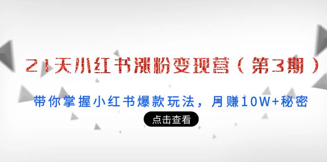 21天小红书涨粉变现营（第3期）：带你掌握小红书爆款玩法，月赚10W+秘密-羽哥创业课堂