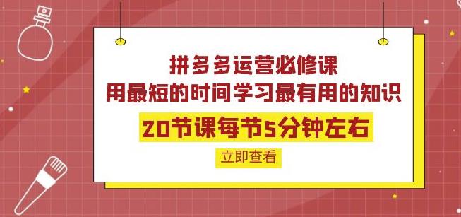 拼多多运营必修课：20节课学习最有用的知识-羽哥创业课堂