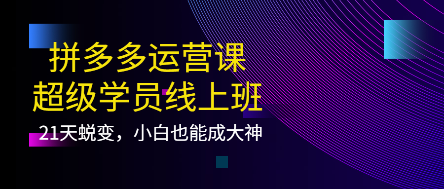 拼多多运营课：超级学员线上班，21天蜕变，小白也能成大神-羽哥创业课堂