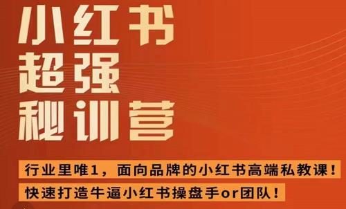 小红书超强密训营，爆文制造技巧等-羽哥创业课堂