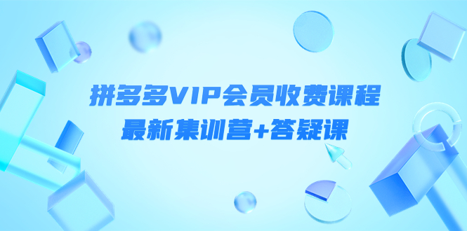 拼多多VIP会员课程，最新集训营+答疑课-羽哥创业课堂