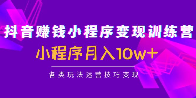 抖音赚钱小程序变现训练营：小程序月入10w+各类玩法运营技巧变现-羽哥创业课堂