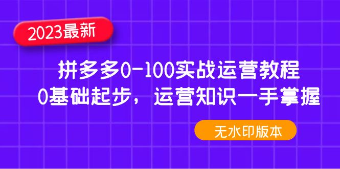 2023拼多多0-100实战运营教程，0基础起步，运营知识一手掌握（无水印）-羽哥创业课堂