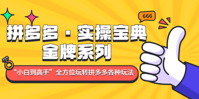 拼多多·实操宝典：金牌系列“小白到高手”带你全方位玩转拼多多各种玩法-羽哥创业课堂