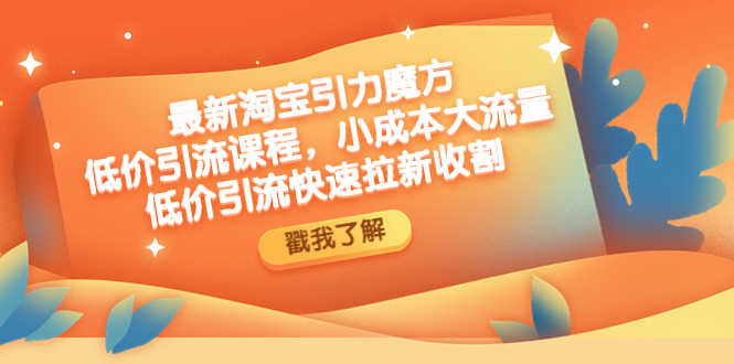 （3072期）最新淘宝引力魔方低价引流实操：小成本大流量，低价引流快速拉新收割-羽哥创业课堂