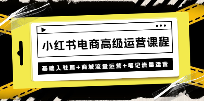 小红书电商高级运营课程：基础入驻篇+商城流量运营+笔记流量运营-羽哥创业课堂