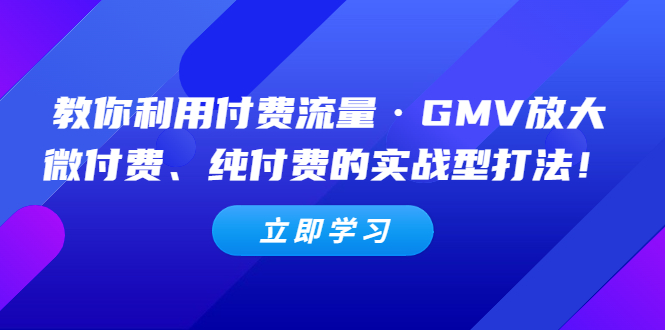 教你利用付费流量·GMV放大,微付费、纯付费的实战型打法-羽哥创业课堂