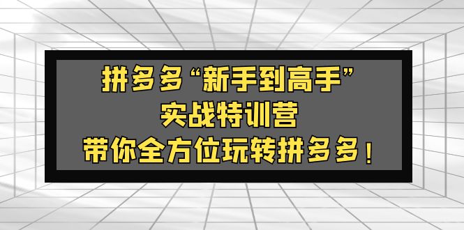 拼多多“新手到高手”实战特训营：带你全方位玩转拼多多-羽哥创业课堂