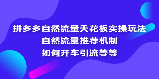 拼多多自然流量天花板实操玩法：自然流量推荐机制，如何开车引流等-羽哥创业课堂