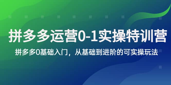 拼多多运营0-1实操训练营，拼多多0基础入门，从基础到进阶的可实操玩法-羽哥创业课堂