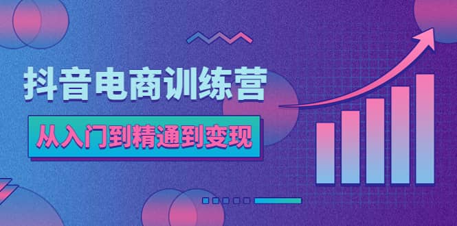 抖音电商训练营：从入门到精通，从账号定位到流量变现，抖店运营实操-羽哥创业课堂