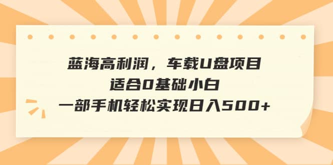 蓝海高利润，车载U盘项目，适合0基础小白，一部手机轻松实现日入500-羽哥创业课堂