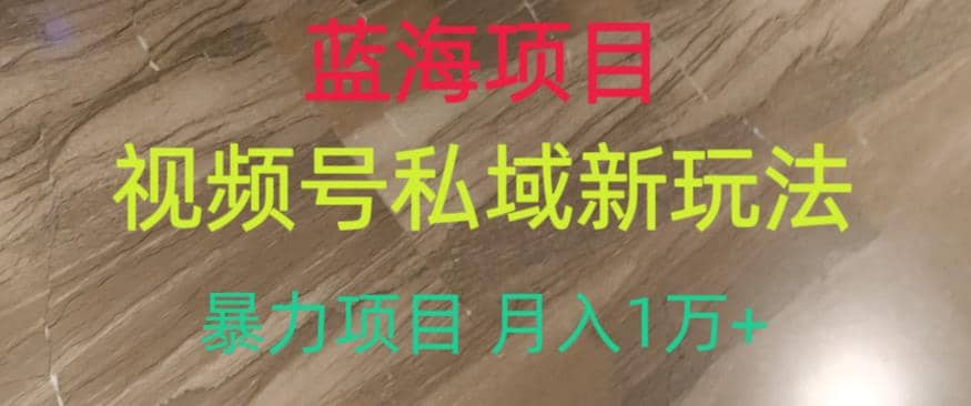 蓝海项目，视频号私域新玩法，暴力项目月入1万 【揭秘】-羽哥创业课堂