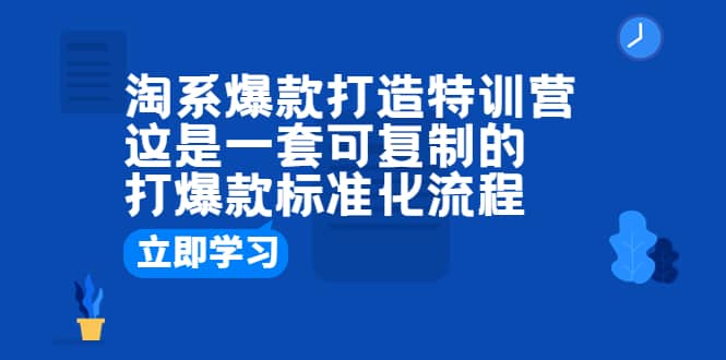 淘系爆款打造特训营：这是一套可复制的打爆款标准化流程-羽哥创业课堂