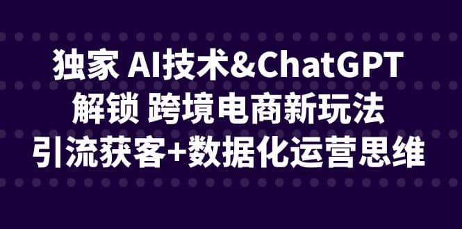 独家 AI技术ChatGPT解锁 跨境电商新玩法，引流获客 数据化运营思维-羽哥创业课堂