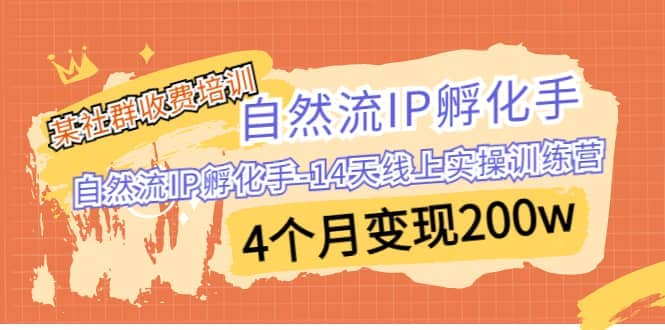 某社群收费培训：自然流IP 孵化手-14天线上实操训练营 4个月变现200w-羽哥创业课堂