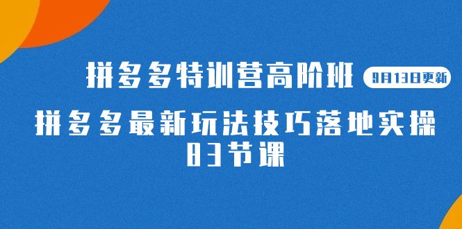 2023拼多多·特训营高阶班【9月13日更新】拼多多最新玩法技巧落地实操-83节-羽哥创业课堂