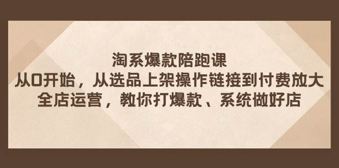 淘系爆款陪跑课 从选品上架操作链接到付费放大 全店运营 打爆款 系统做好店-羽哥创业课堂