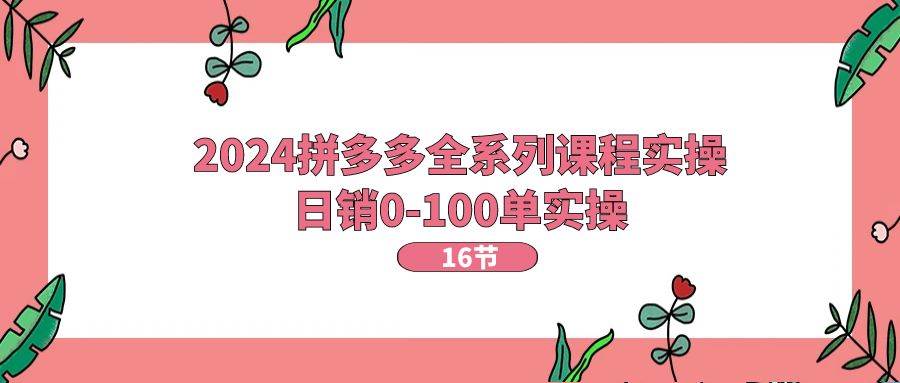 2024拼多多全系列课程实操，日销0-100单实操【16节课】-羽哥创业课堂