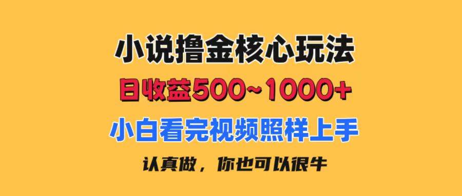 小说撸金核心玩法，日收益500-1000+，0成本有手就行-羽哥创业课堂