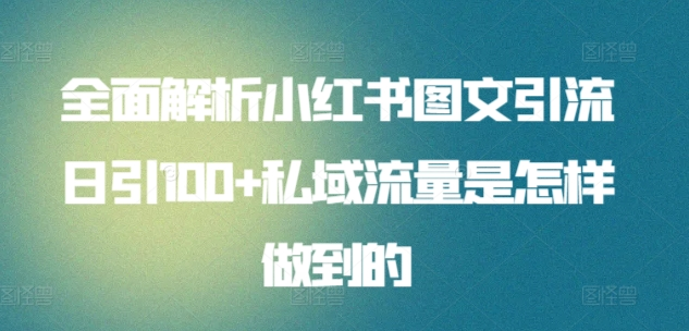 日引流100私域流量小红书图文是怎样做到的全面解析-羽哥创业课堂