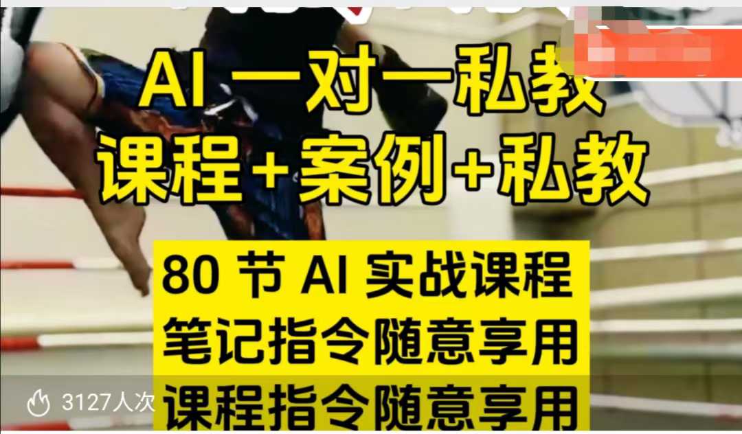 AI指令实战课，课程+案例，80节AI实战课程，笔记指令随意享用，课程指令随意享用(更新7月)-羽哥创业课堂