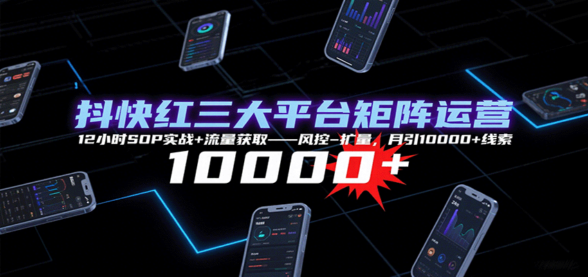 抖快红三大平台矩阵运营，12小时SOP实战+流量获取-风控-扩量，月引10000+线索-羽哥创业课堂