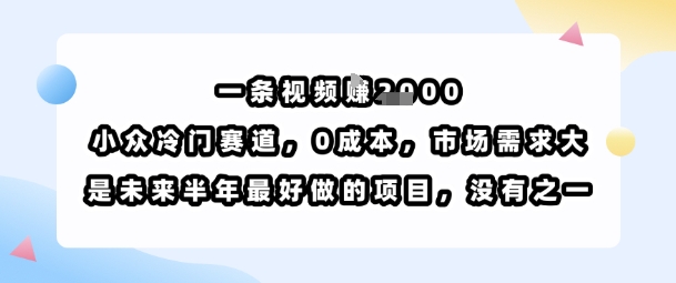 一条视频挣1k，小众冷门赛道，0成本，市场需求大，是未来半年最好做的项目，没有之一-羽哥创业课堂