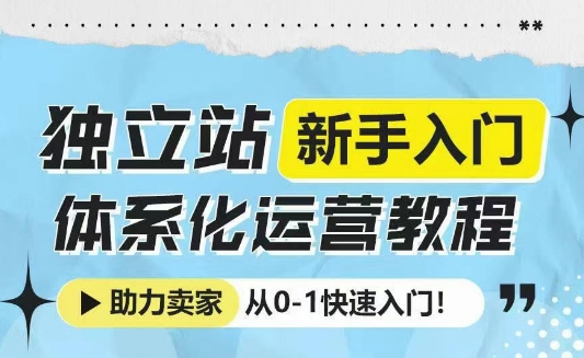 独立站新手入门体系化运营教程，助力独立站卖家从0-1快速入门!-羽哥创业课堂