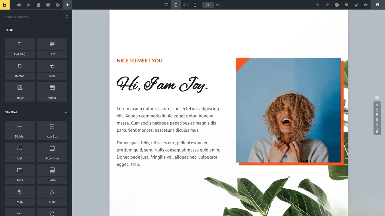 WordPress主题Bricks v1.9 破解版-羽哥创业课堂