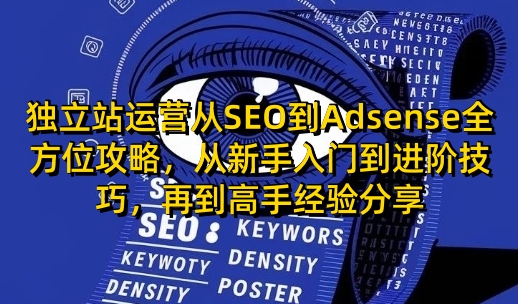 独立站运营从SEO到Adsense全方位攻略，从新手入门到进阶技巧，再到高手经验分享-羽哥创业课堂