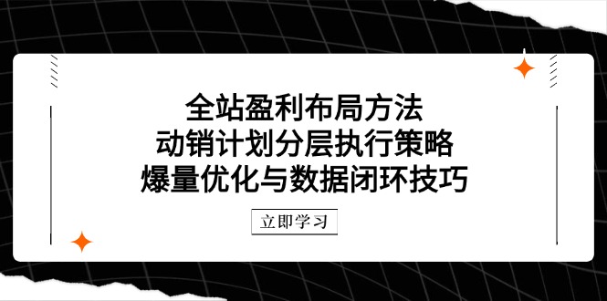 全站盈利布局方法：动销计划分层执行策略，爆量优化与数据闭环技巧-羽哥创业课堂