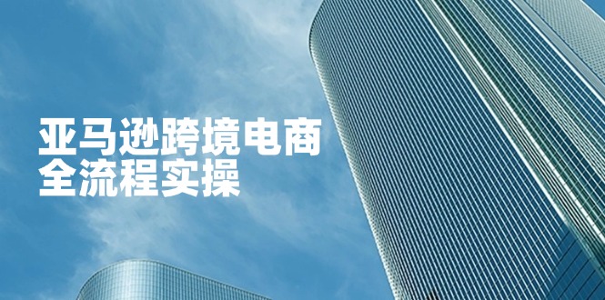亚马逊跨境电商全流程实操，教你从零开始，掌握店铺运营与广告技巧-羽哥创业课堂