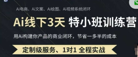AI实操培训第20-21期线下，0基础保姆级教程，3月最新整理，企业获客、降本增效、打造超级个体-羽哥创业课堂