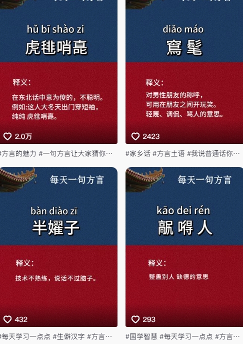 抖音最新涨粉玩法，图文方言暴力涨粉实操，126作品涨粉11W-羽哥创业课堂