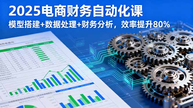 2025电商财务自动化课，模型搭建+数据处理+财务分析，效率提升80%-羽哥创业课堂