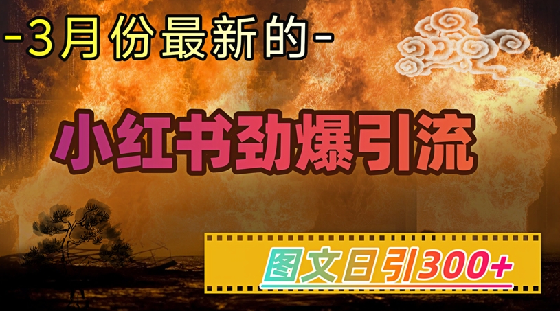 小红书超劲爆引流手段，图文日引300+轻松变现1W-羽哥创业课堂