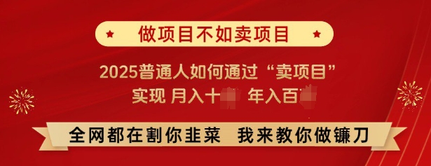 必看，做项目不如卖项目，2025普通人如何通过“卖项目”实现月入十个，年入百个-羽哥创业课堂